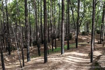 De ruta por el macizo de Tamadaba/Antonio Ali.